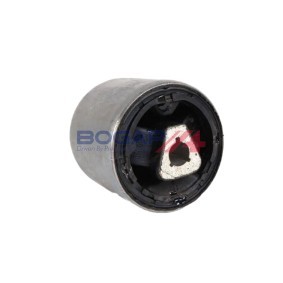 Compre Tubo flexível do ar de sobrealimentação da BOGAP C1711183 a um preço baixo por 67,68 €