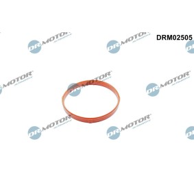 Acquista Guarnizione, manicotto della valvola a farfalla da DR.MOTOR AUTOMOTIVE DRM02505 a buon mercato per soli 11,63 €
