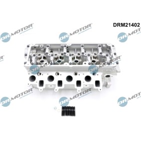 Köp Topplock av DR.MOTOR AUTOMOTIVE DRM21402 till det låga priset 6759,24 kr