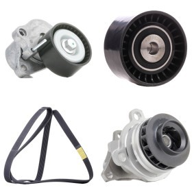 Compre Bomba de água + kit da correia de distribuição da RIDEX 4172P0163 a um preço baixo por 110,61 €