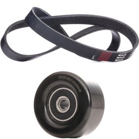 Compre Jogo de correias trapezoidais estriadas da RIDEX 542R1238 a um preço baixo por 35,19 €