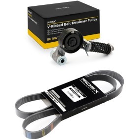 Comprar Juego de correas trapeciales poli V de RIDEX 542R1303 a bajo precio de 30,66 €