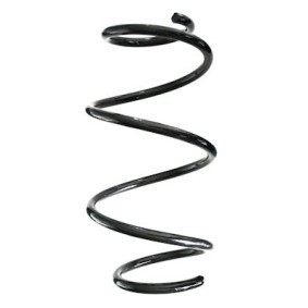 Fahrwerksfeder GKNW10237 von SPIDAN günstig für 56,35 € online kaufen