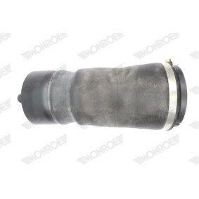 Compre Fole, suspensão pneumática de MONROE online para Discovery V (L462) a preços moderados