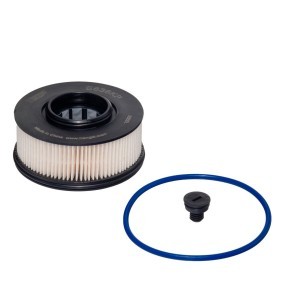 Acquista Filtro carburante da HENGST FILTER online per Santa Fé IV (TM) a prezzi moderati