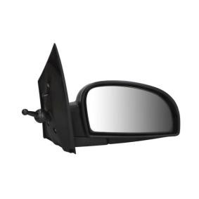 Außenspiegel 5402-04-1138121P von BLIC günstig für 34,72 € online kaufen