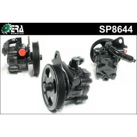 Compre Bomba de direção da ERA Benelux SP8644 a um preço baixo por 264,76 €