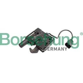 Comprar Cerradura del capó de motor de Borsehung B12893 a bajo precio de 26,65 €