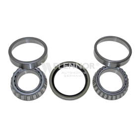Compre Kit de rolamento de roda da FLENNOR FR491008 a um preço baixo por 37,40 €