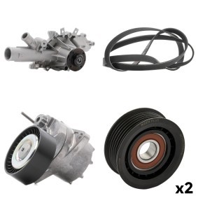 Wasserpumpe + Keilrippenriemensatz 4172P0056P von RIDEX PLUS günstig für 130,64 € online kaufen