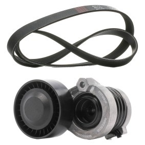 Comprar Juego de correas trapeciales poli V de RIDEX PLUS 542R1334P a bajo precio de 67,22 €