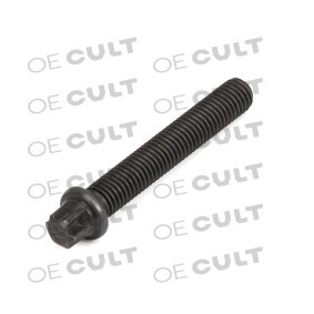 Acquista Bullone albero motore da OE CULT online per 5 GT (F07) a prezzi moderati