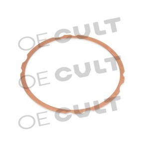 Acquista Kit guarnizioni, canna cilindro da OE CULT online per 911 Cabriolet a prezzi moderati