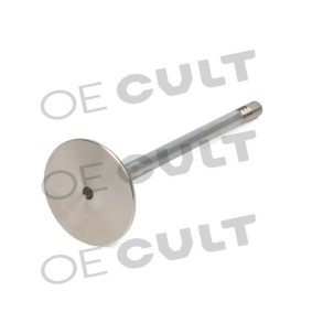 Einlaßventil des Herstellers OE CULT - Originalware Artikelnummer: OEC-P00168