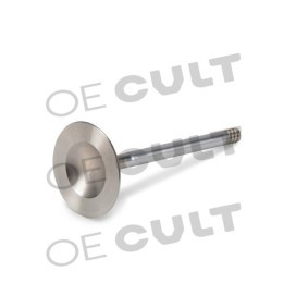 Einlaßventil des Herstellers OE CULT - Originalware Artikelnummer: OEC-P00207