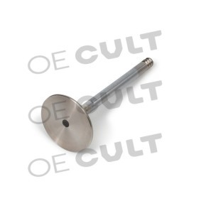 Auslaßventil des Herstellers OE CULT - Originalware Artikelnummer: OEC-P00211
