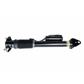 Comprar Amortiguador neumático de HELLA 8QA 358 254-281 a bajo precio de 206,29 €