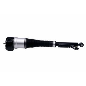 Comprar Amortiguador neumático de HELLA 8QA 358 254-321 a bajo precio de 341,09 €