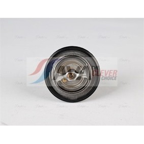 Compre Radiador de calefacción de AVA COOLING SYSTEMS online para XG III Berlina a precios moderados