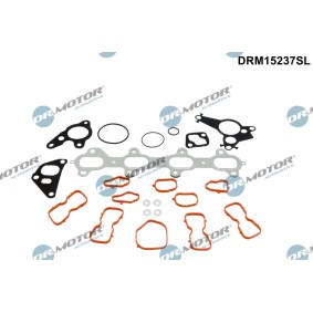Achetez des Joint de culasse de chez DR.MOTOR AUTOMOTIVE en ligne pour Interstar Van (X62B) à prix modérés