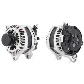 Acquista Alternatore da ROTOVIS Automotive Electrics online per Navara Camion pianale / Telaio (D23) a prezzi moderati