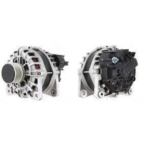 Compre Alternador de ROTOVIS Automotive Electrics online para Citan II Tourer (W420) a preços moderados