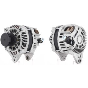 Acquista Alternatore da ROTOVIS Automotive Electrics online per OUTBACK (BS) a prezzi moderati