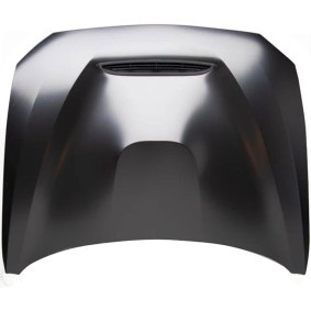 Comprar Capó de DIEDERICHS 1235201 a bajo precio de 842,91 €