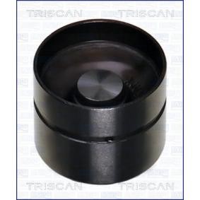 Acquista Punteria idraulica da TRISCAN 80-17000 a buon mercato per soli 20,83 €