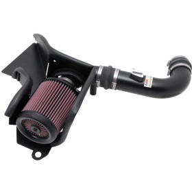 Compre Filtro de ar desportivo de K&N Filters online para Escort V Hatchback (GAL) a preços moderados