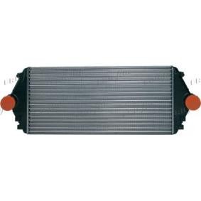 Comprar Intercooler de FRIGAIR 0703.3002 a bajo precio de 131,26 €