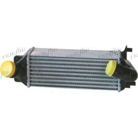 Ladeluftkühler 0704.3016 von FRIGAIR günstig für 215,56 € online kaufen
