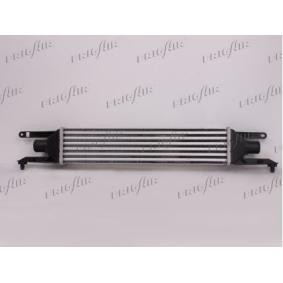Kjøp Intercooler av FRIGAIR 0704.3122 til den lave prisen 1708,08 NOK