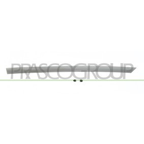 Compre Guardabarros de PRASCO online para PRIMERA (P10) a precios moderados