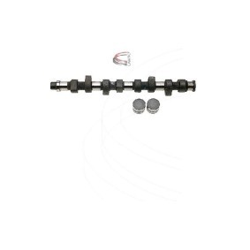 Comprar Kit de árbol de levas de CAMPRO CP60219 a bajo precio de 260,93 €