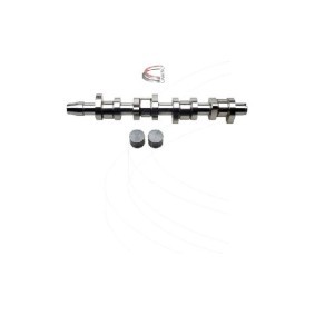 Comprar Kit de árbol de levas de CAMPRO CP60255 a bajo precio de 398,66 €