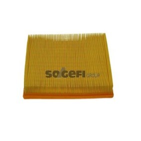 Acquista Filtro aria da COOPERSFIAAM FILTERS PA7177 a buon mercato per soli 16,18 €