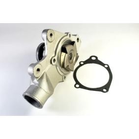 Comprar Bomba de agua de THERMOTEC D1Y000TT a bajo precio de 54,48 €