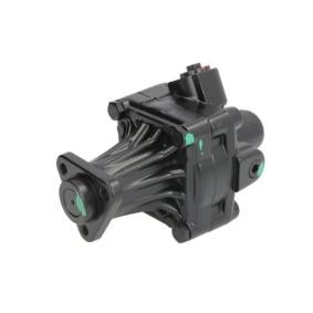 Achetez des Pompe de direction assistée de chez LAUBER en ligne pour 5 Berline (E34) à prix modérés