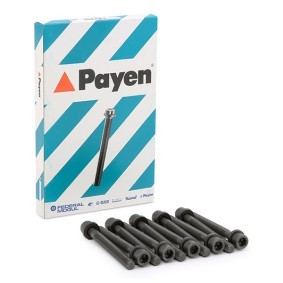 Acquista Bulloni testata da PAYEN online per 924 Coupe a prezzi moderati