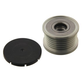 Comprar Rueda libre de alternador de FEBI BILSTEIN 31729 a bajo precio de 31,71 €