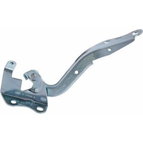 Achetez des Charnière, capot-moteur DIEDERICHS 6619018 à prix pour 28,15 €