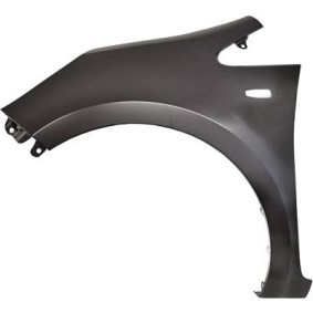 Compre Guardabarros de DIEDERICHS online para Rio III Furgón / Hatchback (UB) a precios moderados