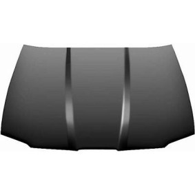 Acquista Cofano da DIEDERICHS 7424000 a buon mercato per soli 202,91 €