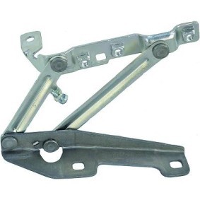 Acquista Cerniera, Cofano motore da DIEDERICHS 1826018 a buon mercato per soli 58,93 €