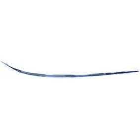 Compre Friso de para-choques de DIEDERICHS online para Classe A (W169) a preços moderados