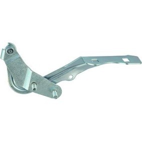 Comprar Bisagra, capó del motor de DIEDERICHS 1416019 a bajo precio de 23,45 €