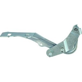 Comprar Bisagra, capó del motor de DIEDERICHS 1416018 a bajo precio de 23,45 €