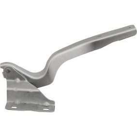 Comprar Bisagra, capó del motor de DIEDERICHS 6045818 a bajo precio de 43,88 €
