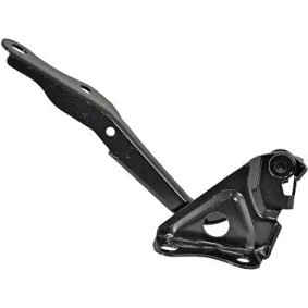 Comprar Bisagra, capó del motor de DIEDERICHS 6687019 a bajo precio de 37,95 €